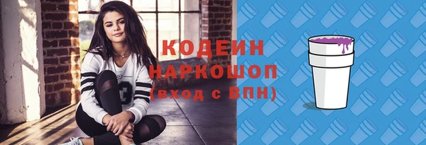 эйфоретик Гусь-Хрустальный