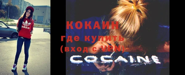 эйфоретик Гусь-Хрустальный