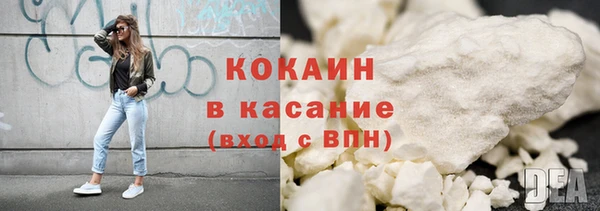 прущие грибы Дмитровск