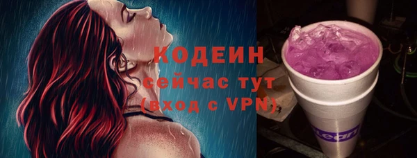 эйфоретик Гусь-Хрустальный