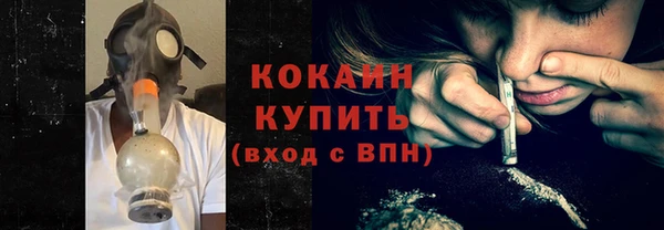 эйфоретик Гусь-Хрустальный