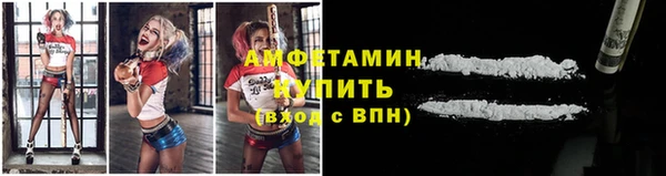 прущие грибы Дмитровск