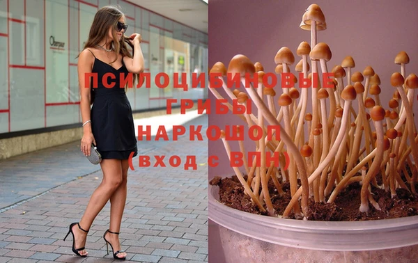 а пвп мука Гусев