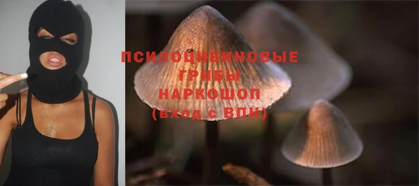 PSILOCYBIN Гусиноозёрск