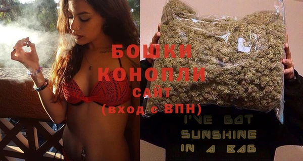 PSILOCYBIN Гусиноозёрск