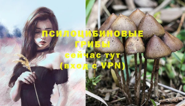 а пвп мука Гусев