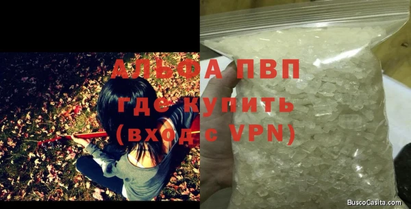 эйфоретик Гусь-Хрустальный
