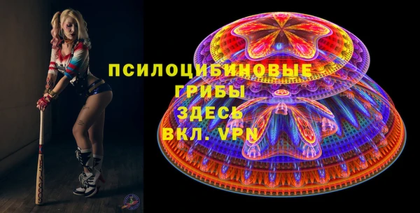 а пвп мука Гусев