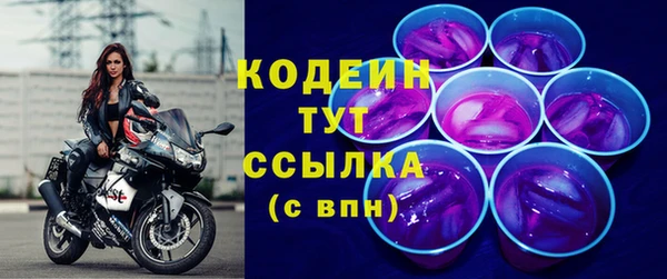 эйфоретик Гусь-Хрустальный