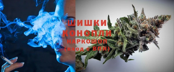 эйфоретик Гусь-Хрустальный