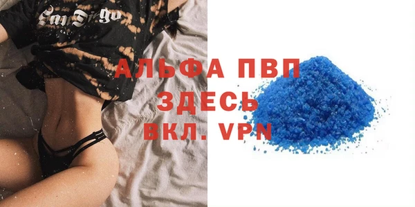 PSILOCYBIN Гусиноозёрск