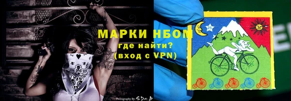 эйфоретик Гусь-Хрустальный